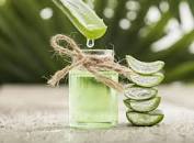 Section 5: A Comprehensive Aloe Vera IN Hair Care